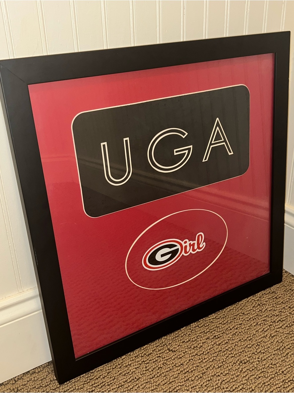 18” UGA girl framed wall art  university of Georgia